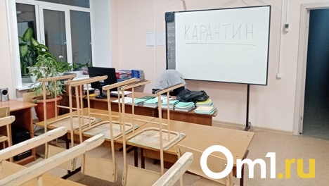 Новая вспышка? В Омске за несколько дней закрыли на карантин два десятка детских коллективов