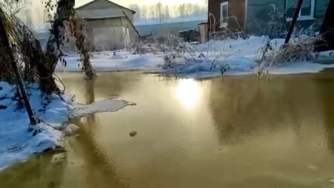 Новосибирская психбольница отрицает причастность к загрязнению реки Нарнисты