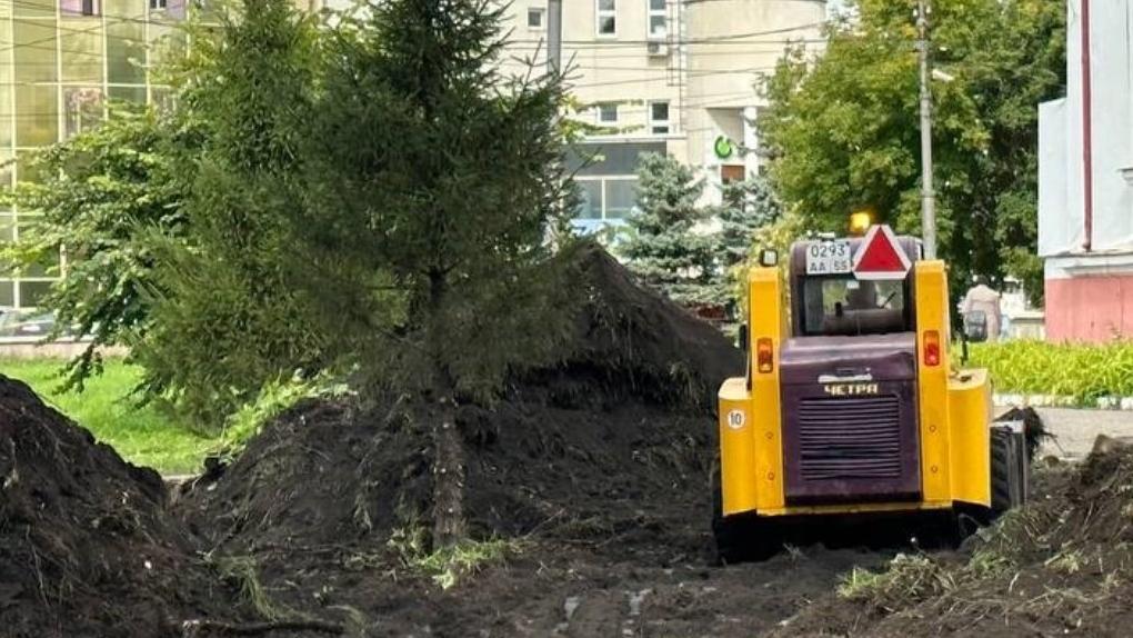 Центр Омска украсят клумбой с мраморной крошкой и туями