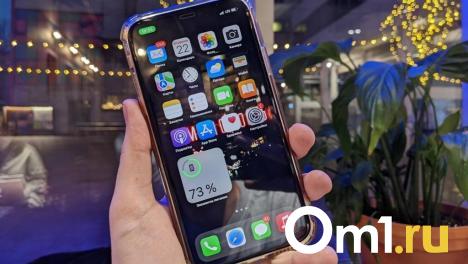 Омичка потеряла больше двух миллионов после звонка сотрудницы «Росреестра»