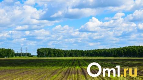 Цинк и свинец: в омской почве зафиксировано опасное превышение тяжёлых металлов
