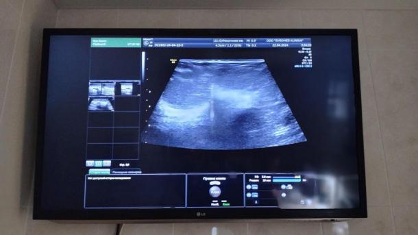 ЗАГС раскрыл самые редкие имена за ноябрь-2024 в Новосибирской области