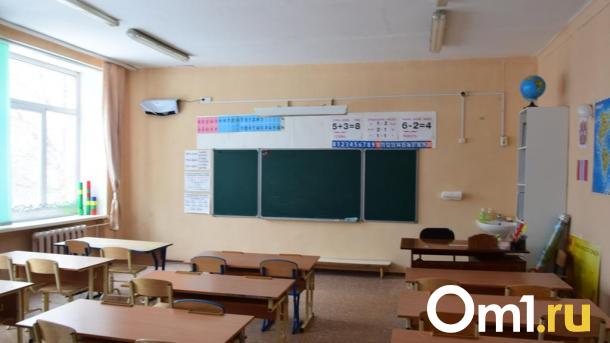 Уроки труда и меньше контрольных: в омских школах введут новые правила