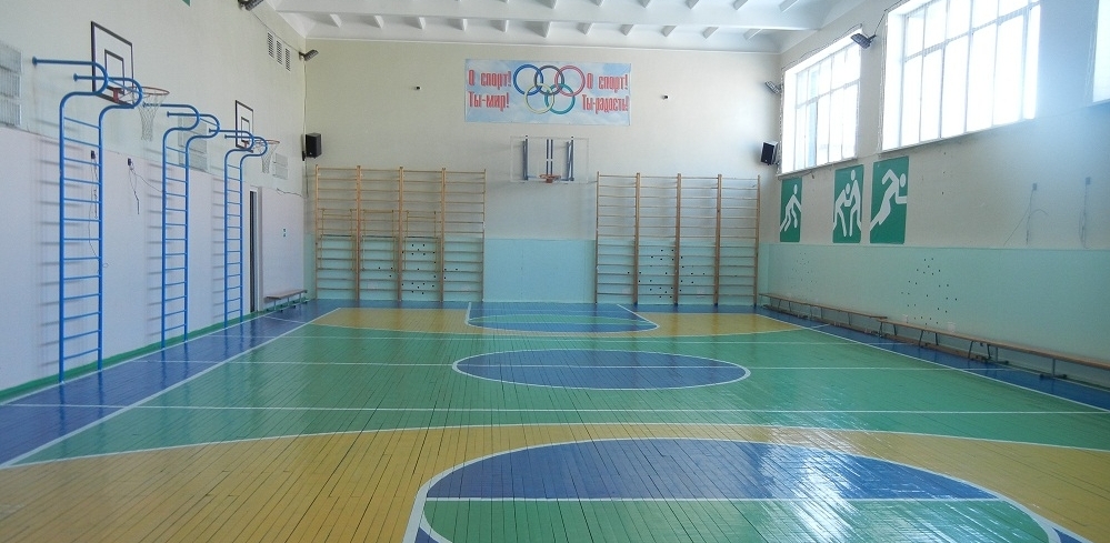Дизайн спортивного зала в школе фото