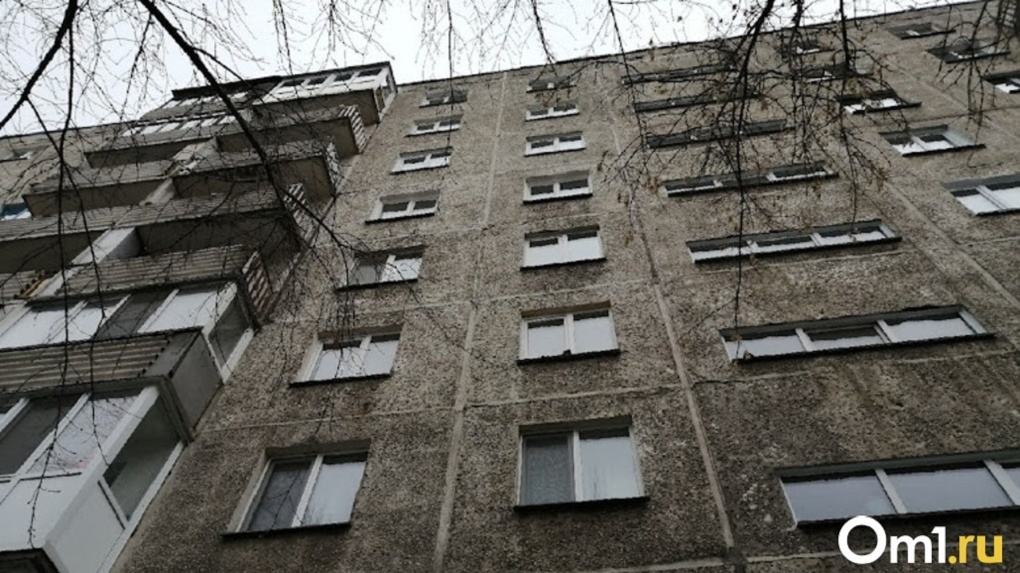В Омске с 16-го этажа высотки выпала бабушка