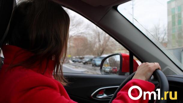 Новосибирск в огне споров: названы самые конфликтные профессии 2024 года