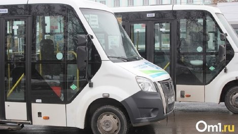 Омская прокуратура взяла на контроль инцидент с девочкой, которую водитель заставлял рассчитаться два раз