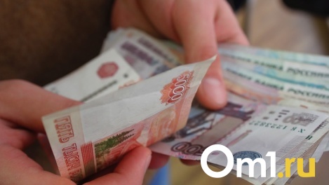 Задолжал свыше 46 млн: в Новосибирске 204 работника не получали зарплату по вине директора