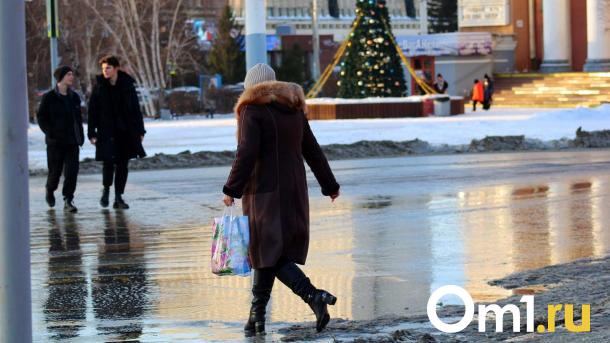 Предновогодний дождь. Неделя в Омске начнётся с плюсовой температуры