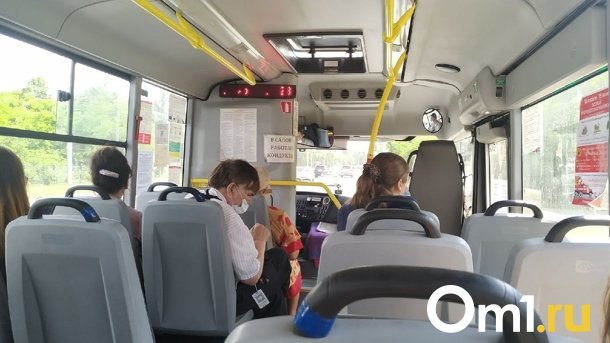 В Омске из-за неаккуратного водителя в маршрутке № 47 упала трёхлетняя девочка