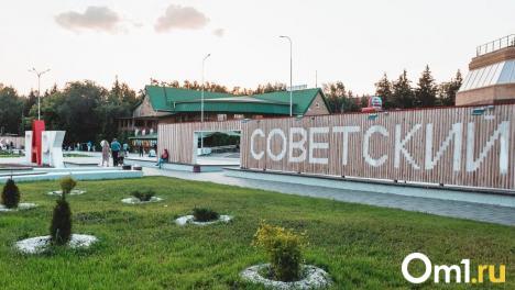 В Омске будут соревноваться в подъёме гигантской семечки