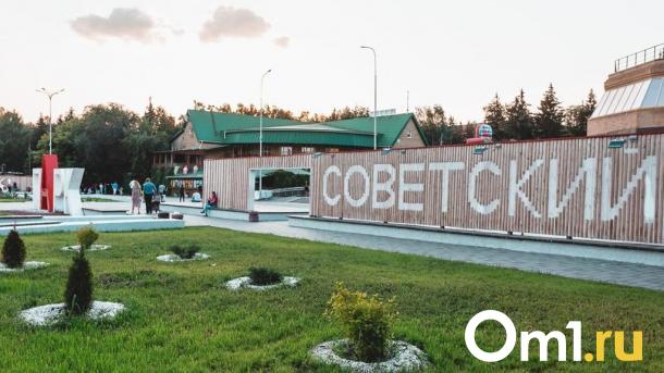 В Омске будут соревноваться в подъёме гигантской семечки