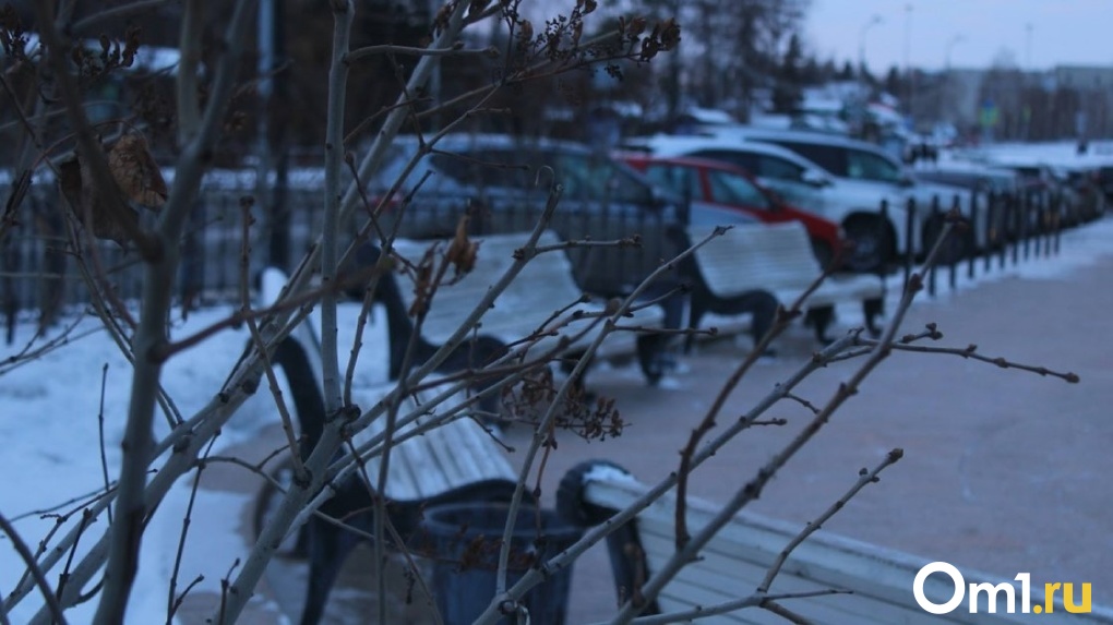 Погода в Омске и области на выходных: ожидается потепление и снег