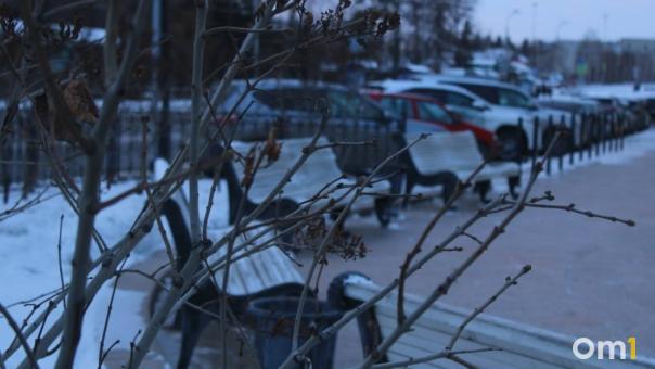 Погода в Омске и области на выходных: ожидается потепление и снег