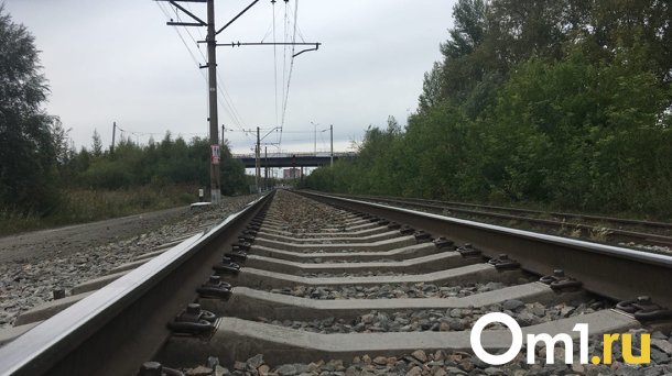 Труп пенсионера нашли на железной дороге под Новосибирском