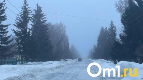 На Омск опустился густой туман
