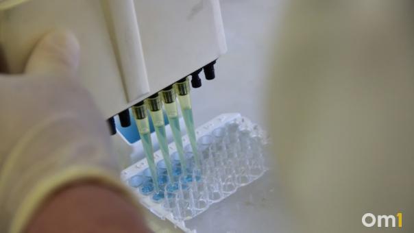 Сибирская язва добралась до Москвы? Из-за распространения опасной инфекции возбуждено уголовное дело