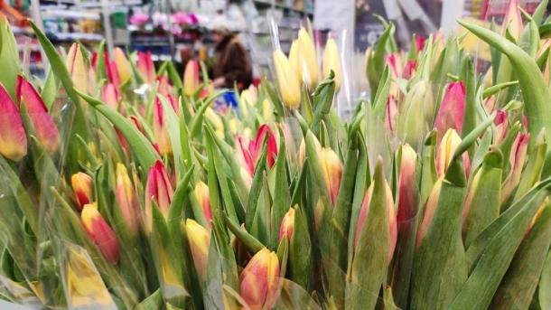 Эксперты назвали зарплату флориста в Новосибирске за одну смену