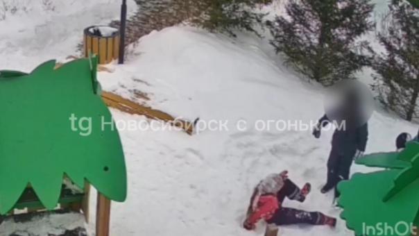 Трое подростков избили девятилетнюю девочку на детской площадке в Новосибирске