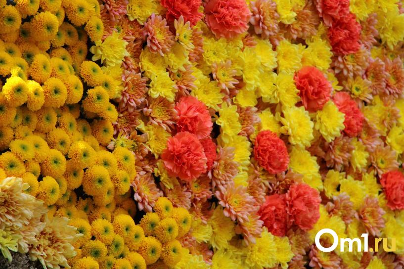 Изображение фоторепортажа