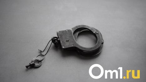 Омич подделал решение суда и получил 200 гектаров земли за 5 миллионов