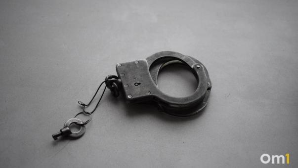 Омич подделал решение суда и получил 200 гектаров земли за 5 миллионов
