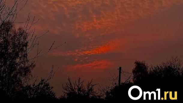 Новогоднее происшествие: 31 декабря на омичей обрушится магнитная буря