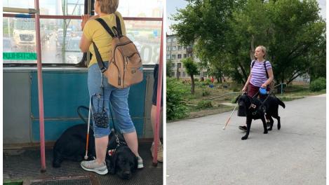 «Не могу взять собаку»: хозяйка убитого током пса-поводыря рассказала о своих страхах после трагедии