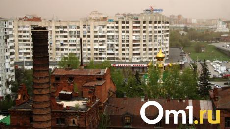 Почему в Омске появились пыльные бури? Объясняет эколог