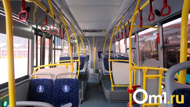 «Нарожавшая шизофреничка»: кондуктор новосибирского автобуса №29 оскорбила пассажирку с ребёнком