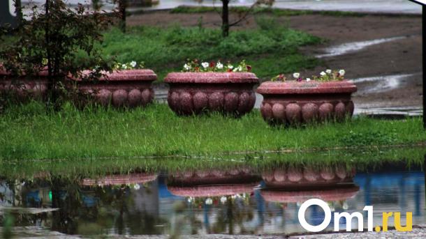В Гидрометцентре объявили о многоцентровой депрессии в Омской области