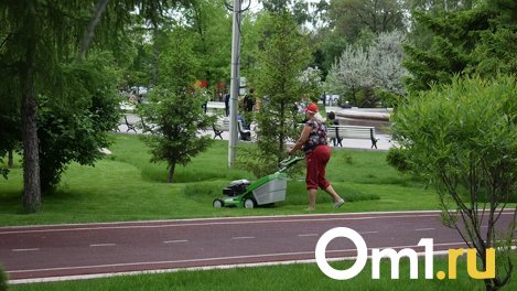 Омич угнал газонокосилку