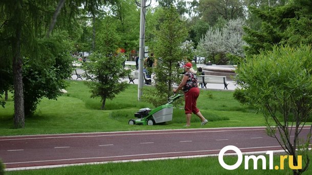 Омич угнал газонокосилку