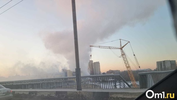 Осталась одна крыса: в горевшем омском «Триумфе» погибли животные из зоомагазина