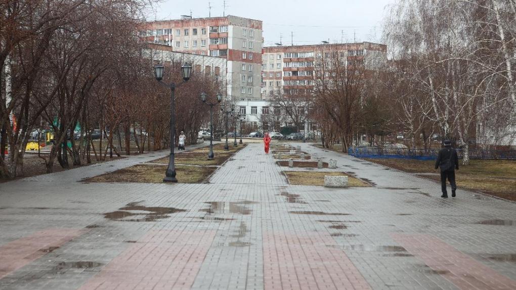Живая изгородь и детская площадка в военном стиле появятся на новосибирском бульваре Победы