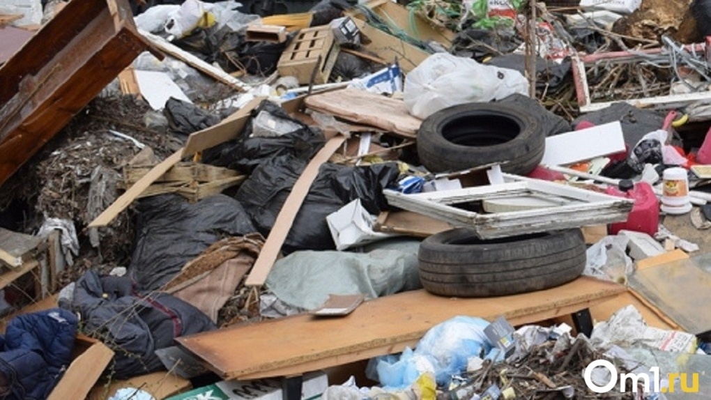 Кучи мусора образовались в новосибирских дворах из-за забастовки водителей
