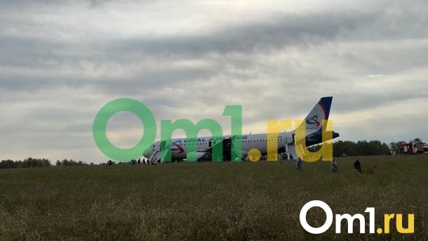Открыта горячая линия для омичей из-за аварийной посадки самолёта из Сочи