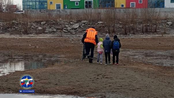 В Новосибирске заметили купающихся в Оби детей