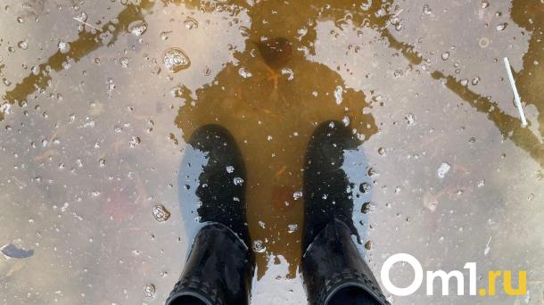 Вице-мэр Омска Евгений Фомин прокомментировал заплыв на сап-бордах на Левобережье