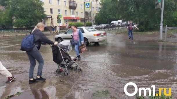 Талые воды атакуют Новосибирскую область: зафиксированы подтопления участков и дорог