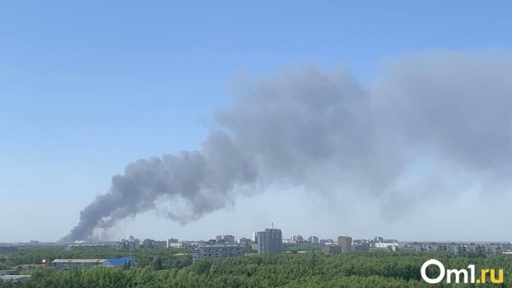 Опасный воздух зафиксировали в Новосибирске 6 августа