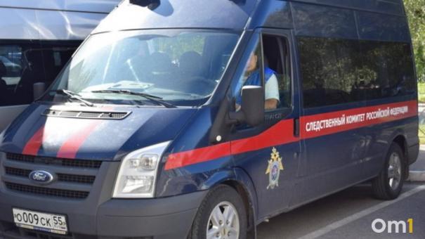 СКР проверит видео, на котором избивают несовершеннолетнюю в Новосибирске