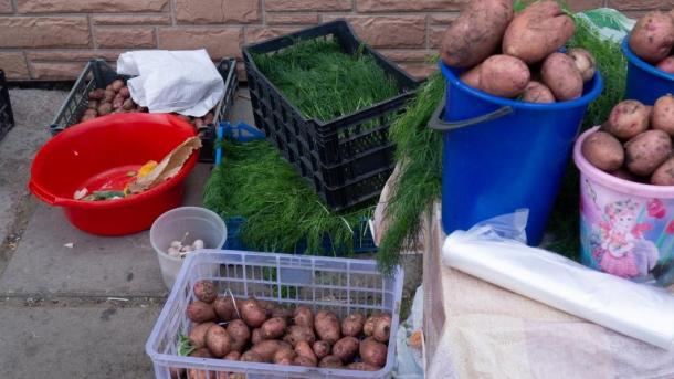 Почему Новосибирск останется без местной картошки: скрытые причины и как сэкономить