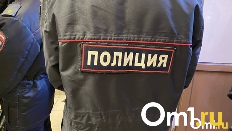 «Спросил время и сорвал цепочку»: омич совершил дерзкий грабёж