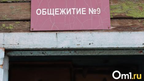 Бастрыкина заинтересовала ситуация с потрескавшимся омским общежитием