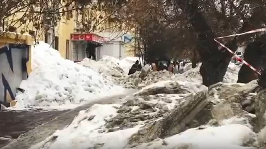 Жительница Новосибирска пожаловалась Владимиру Путину на грязные улицы