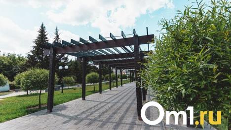 Стало известно, какие омские парки благоустроят в 2024 году