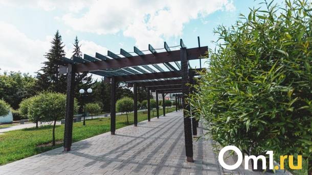 Стало известно, какие омские парки благоустроят в 2024 году