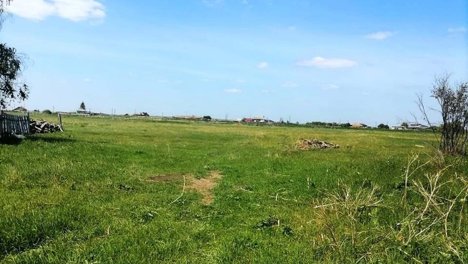 В Омской области орудовал охотник на козлят: он забивал их на мясо