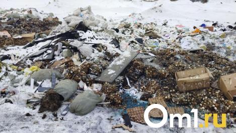 Стало известно, кому придется убирать свалку тухлых яиц в Омске